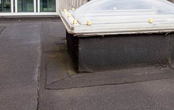 disadvantages of Backhill Of Clackriach flat roofs