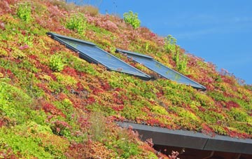 Backhill Of Clackriach living roof systems