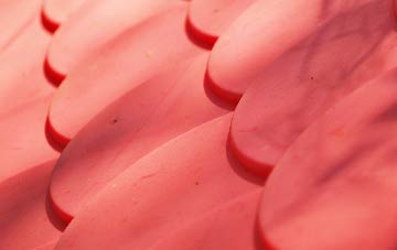 Backhill Of Clackriach plastic roof costs