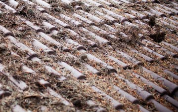 Backhill Of Clackriach roof cleaning companies