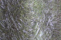 Backhill Of Clackriach fibreglass roof work